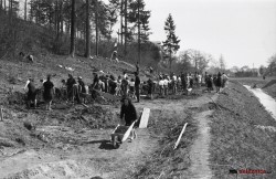 Mladinske brigade na trasi ob Glinščici 21.3.1948. Foto: Mahovič Zvone