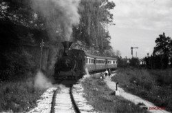 Vlak pelje iz postaje TV-15 - 7.5.1950. Foto: Jere Leon